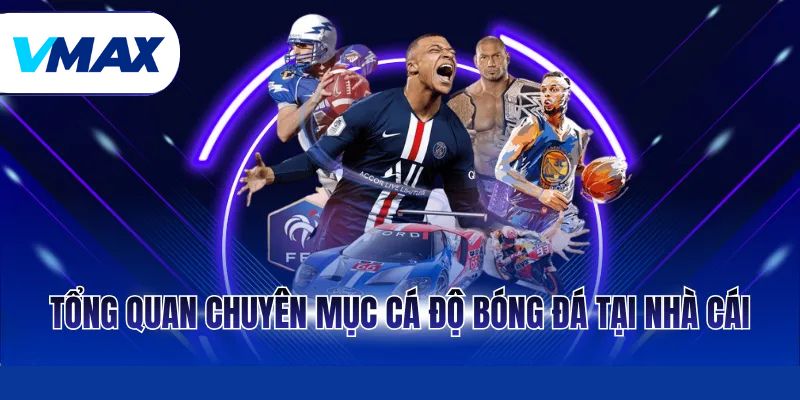 Tổng quan chuyên mục cá độ tại nhà cái Vmax
